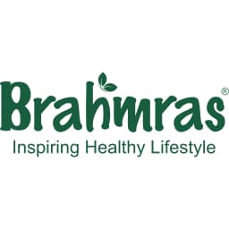Brahmras client logo